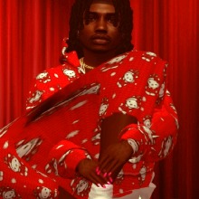 Guest_tigerfashionfuche692