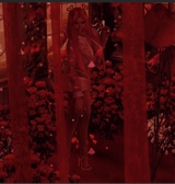 Guest_kiahboom