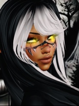 Guest_XoloTa