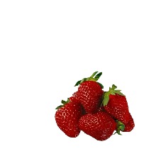 Guest_Berry676597