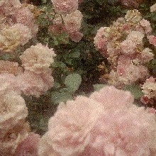 Guest_Amra40