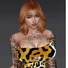 Guest_Lainha514527