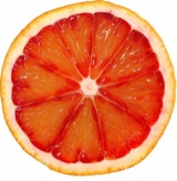Guest_cherry450161