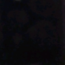 Guest_SafiraLouhan