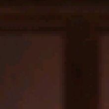 Guest_LETCIA728624