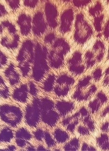 Guest_maevis2