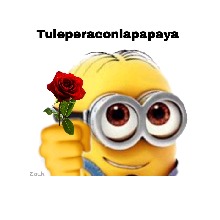 Guest_Miguel337870