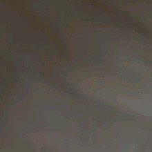 Guest_Jazmin653048