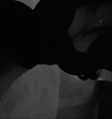 Guest_vallvcc