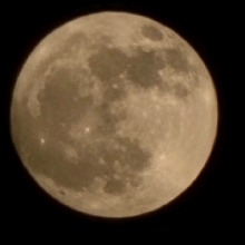 Sigma955075