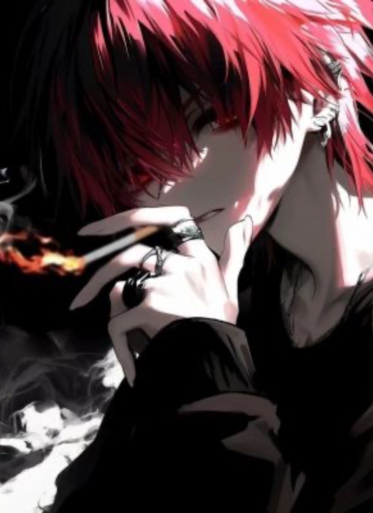 TheLastRaven