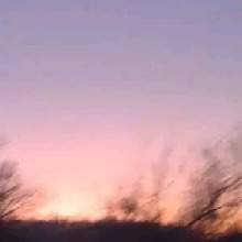 Guest_JAY157926