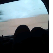 Guest_LavniaGabriele1