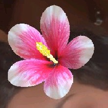 Guest_Kaly915325