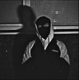 avatar-billede