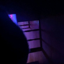 Guest_seluvs