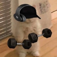 Guest_MatheusVictor00