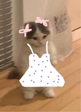 Guest_lnnx2