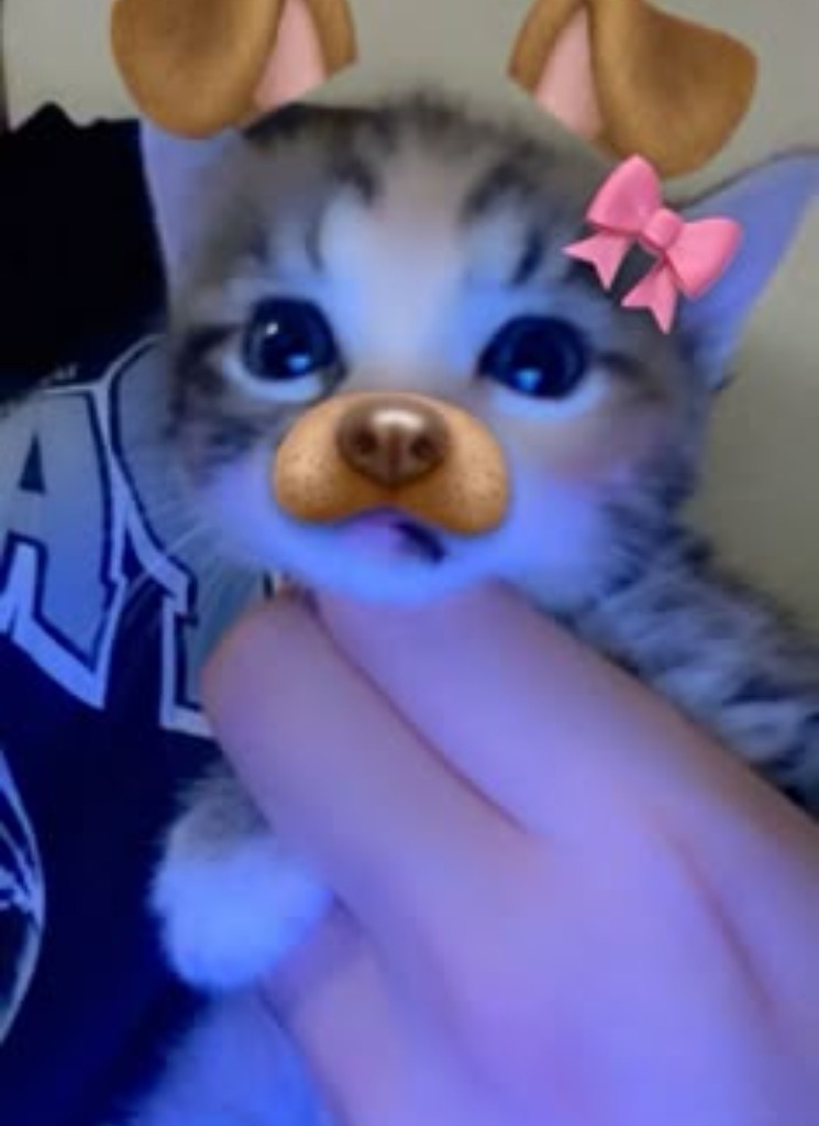 Guest_yhnna2