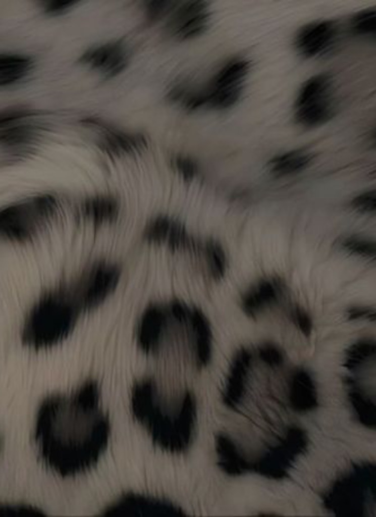 Guest_Malanna9