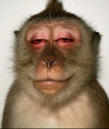 صورة الـavatar