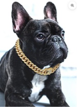 Guest_Cash2811