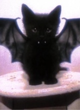 mrsdrago