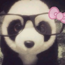 Guest_UrFavSunny