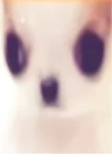 Guest_sadeees
