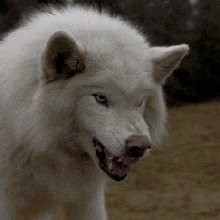 Guest_Queengirly3