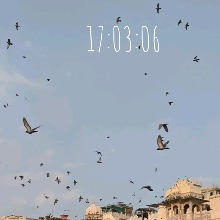 Guest_Layla325685
