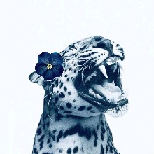 Guest_Maduuu2