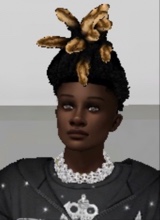 Guest_Daquan9