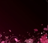 Guest_shy705792