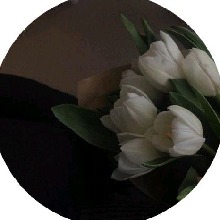 Guest_sofsz