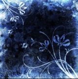 Guest_Suki48633