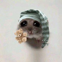 Guest_FkCapibara