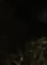 Guest_Quan13
