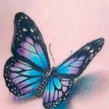 Guest_Chey008