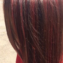 Guest_Fernanda12892