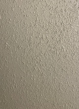 Guest_Jay730724