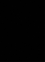 immagine avatar