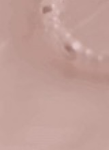 Guest_ava319535