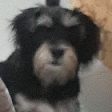Guest_Camilo280911