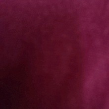 Guest_Meli565695