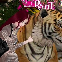 Guest_SofaLmr