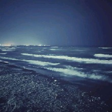 Guest_James859187