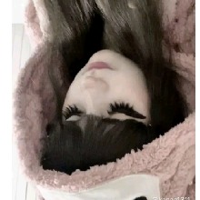 Guest_Isabella446397