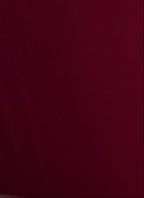 Guest_Itzelyysy20