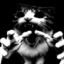 Guest_egxbrxin